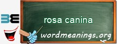 WordMeaning blackboard for rosa canina